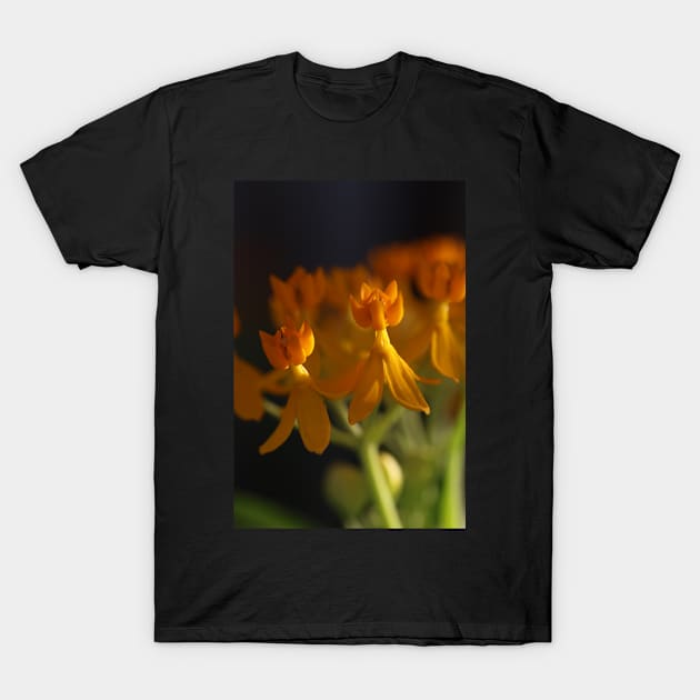 golden hour flowers T-Shirt by cowabango